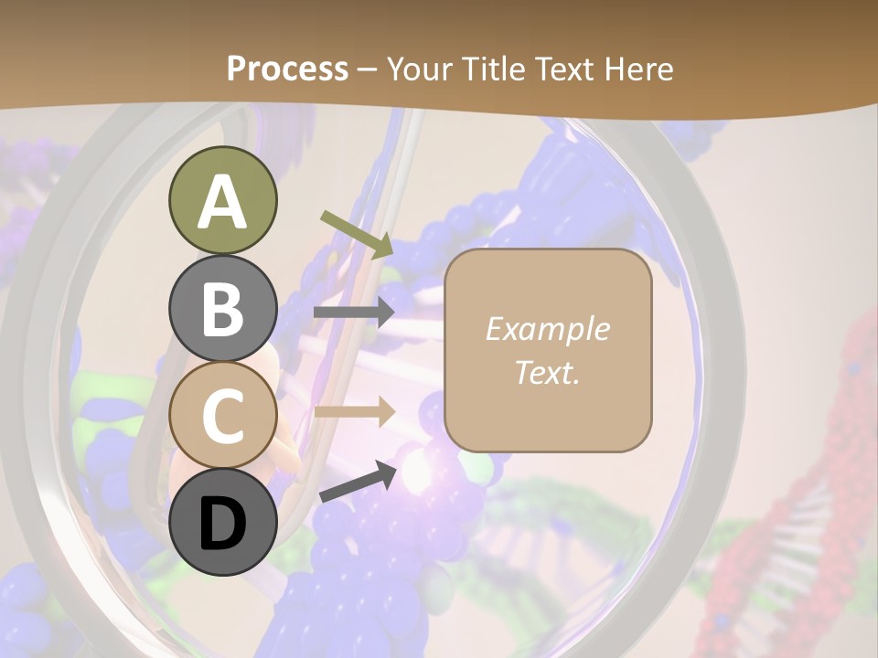 Genetics Fraction Fetus PowerPoint Template