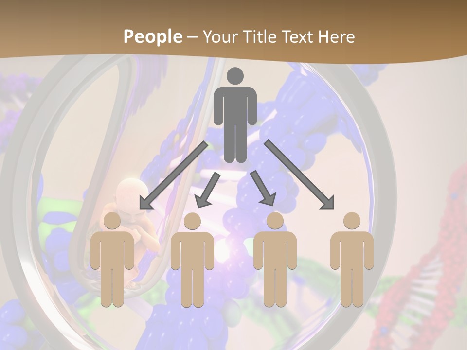 Genetics Fraction Fetus PowerPoint Template