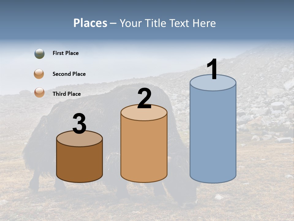 Fur Asia Rock PowerPoint Template