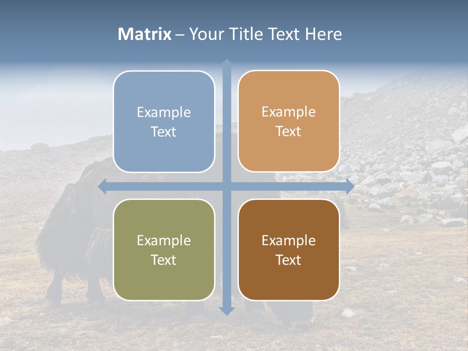 Fur Asia Rock PowerPoint Template