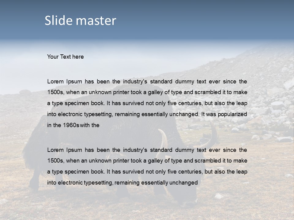 Fur Asia Rock PowerPoint Template