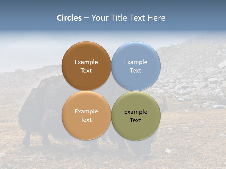 Fur Asia Rock PowerPoint Template