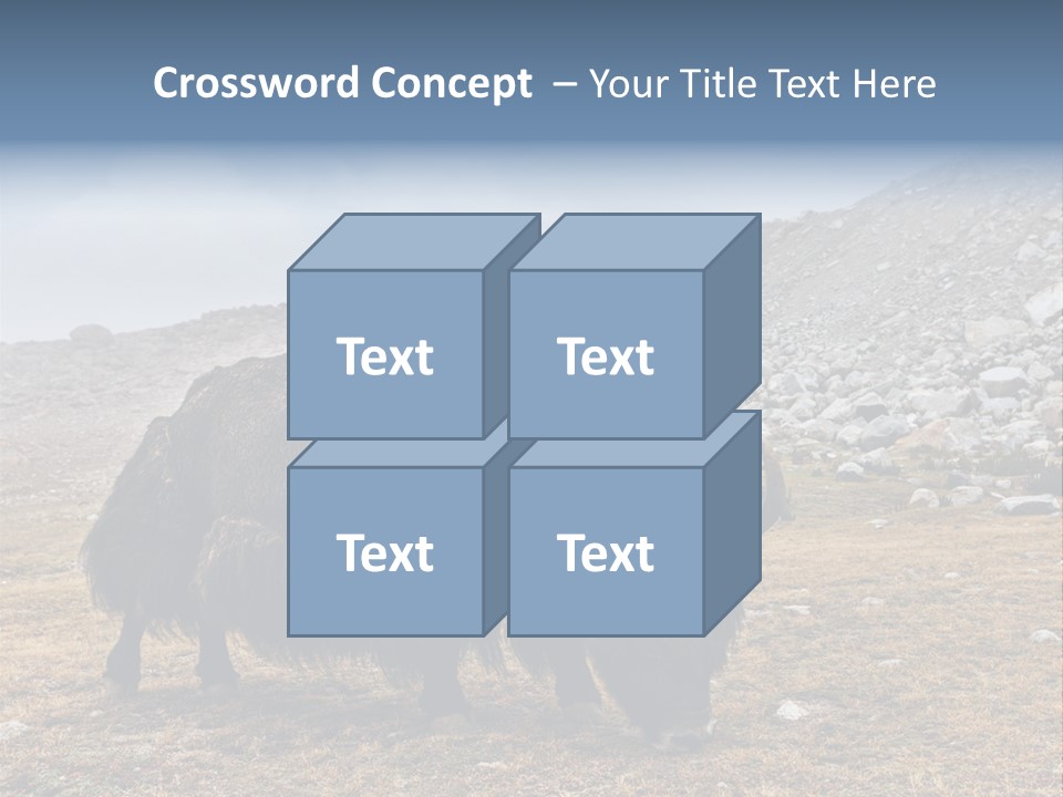 Fur Asia Rock PowerPoint Template