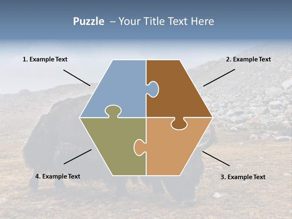 Fur Asia Rock PowerPoint Template