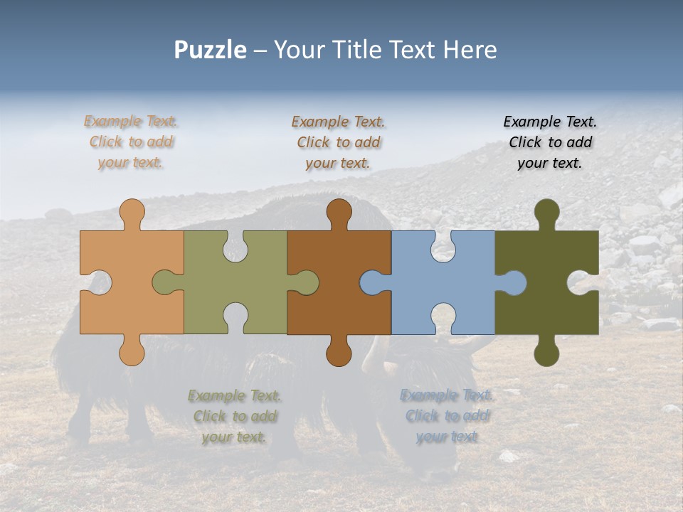 Fur Asia Rock PowerPoint Template