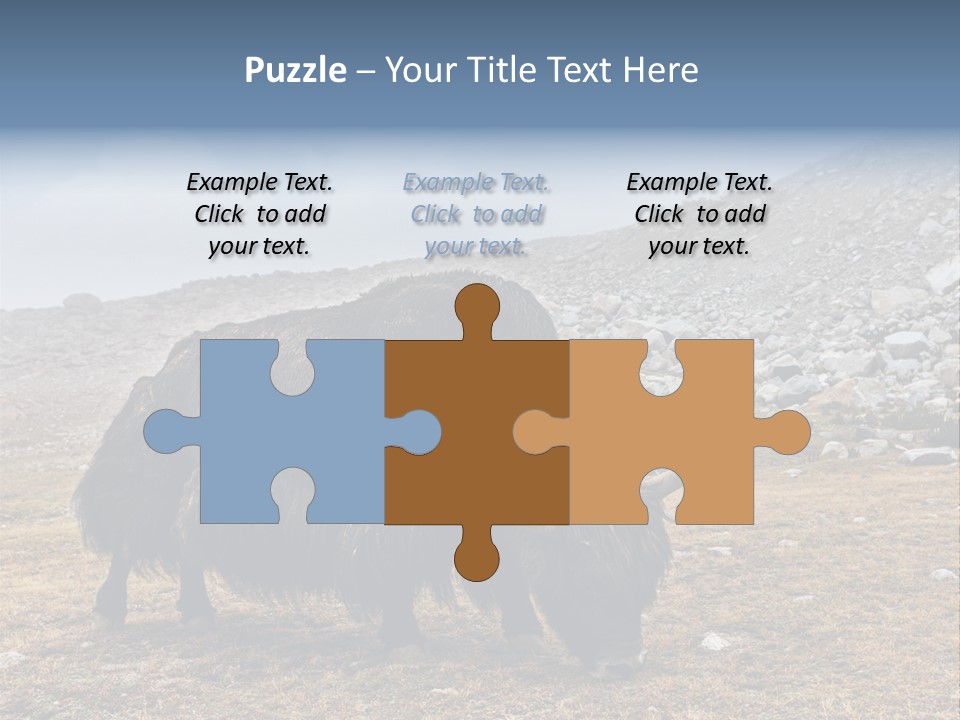 Fur Asia Rock PowerPoint Template