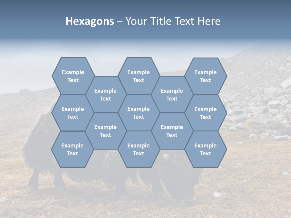 Fur Asia Rock PowerPoint Template