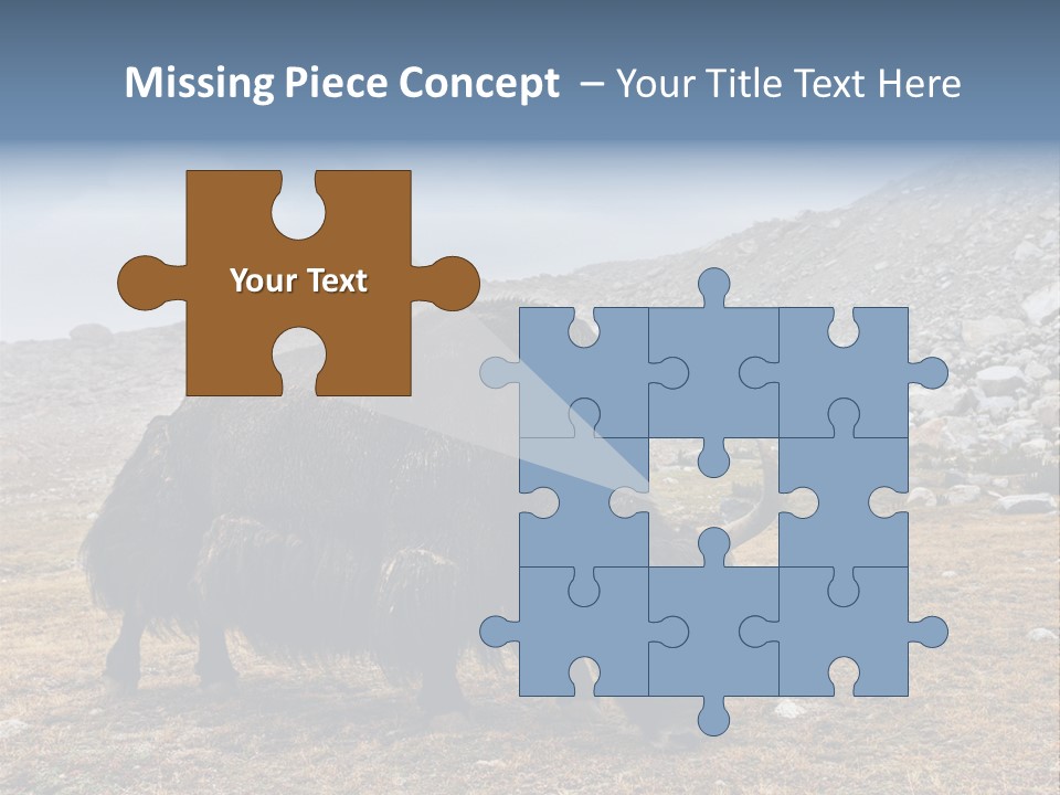 Fur Asia Rock PowerPoint Template