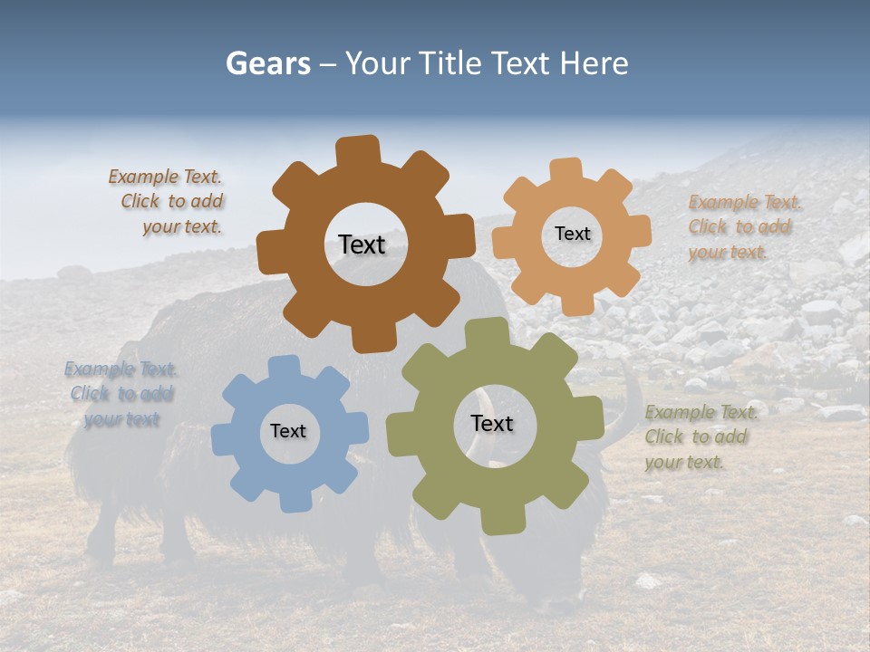 Fur Asia Rock PowerPoint Template