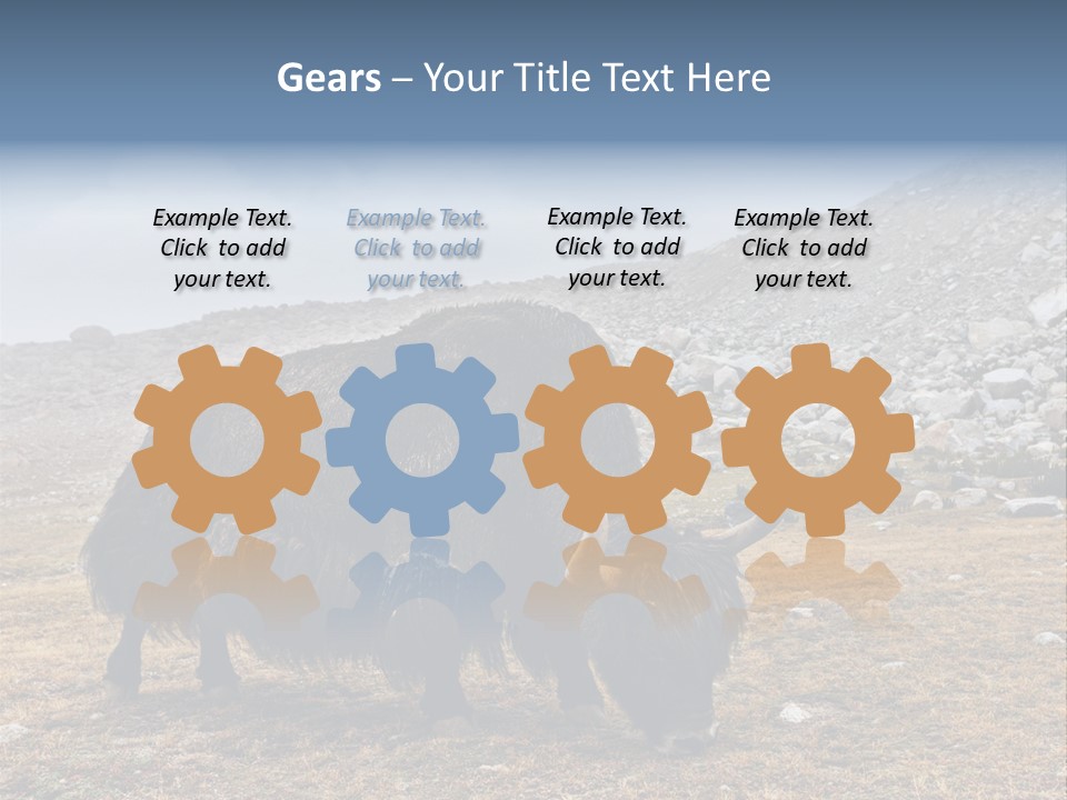 Fur Asia Rock PowerPoint Template