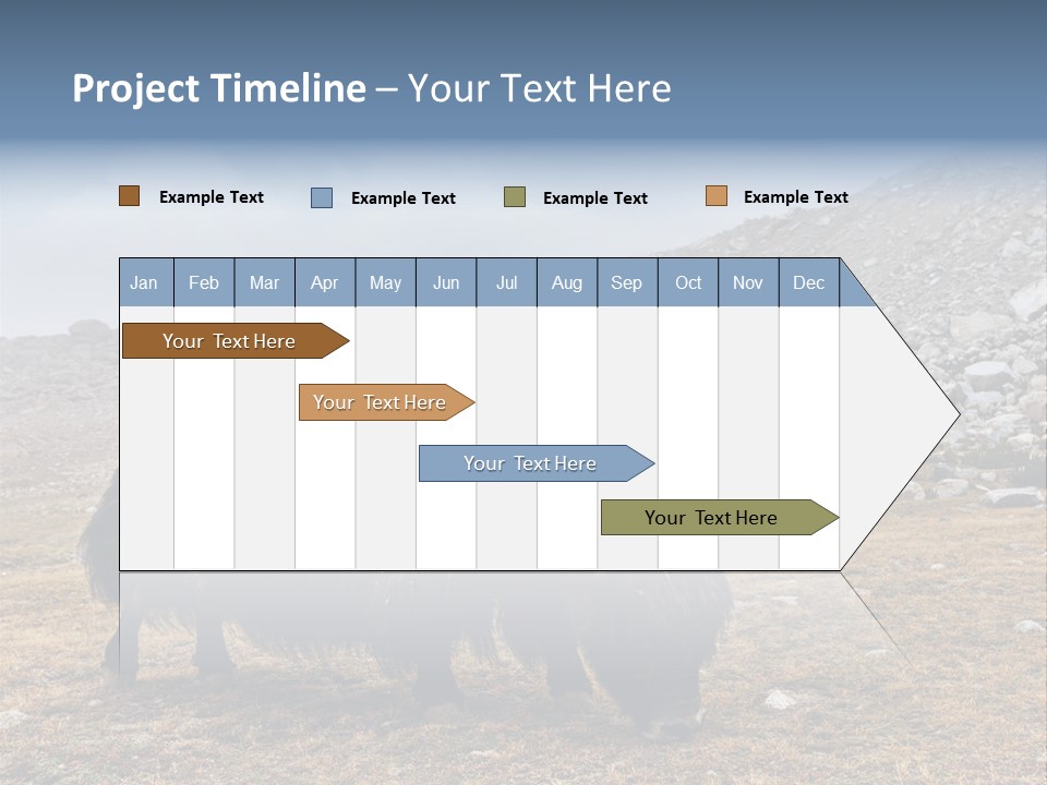 Fur Asia Rock PowerPoint Template