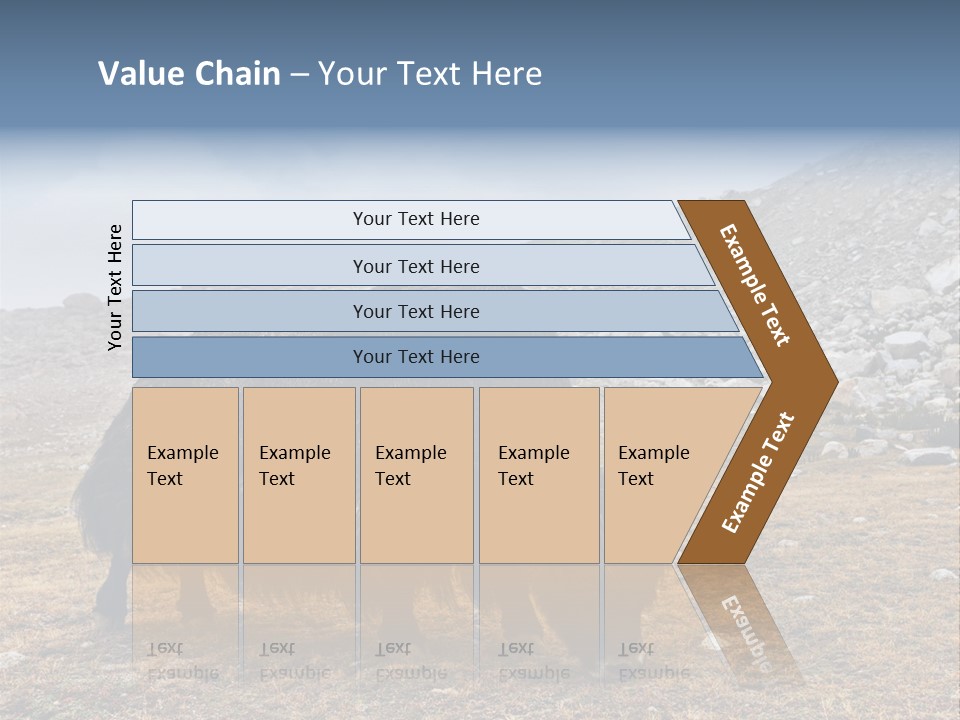 Fur Asia Rock PowerPoint Template
