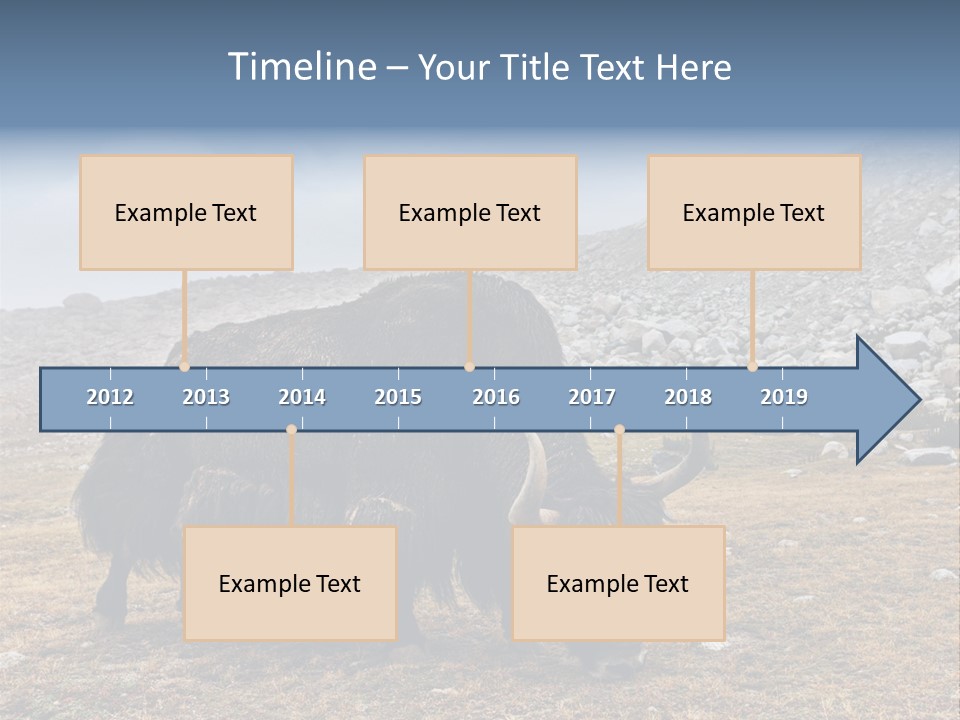 Fur Asia Rock PowerPoint Template