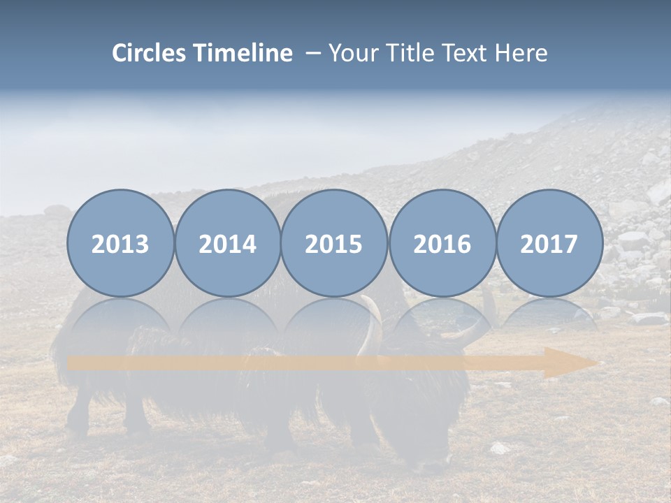 Fur Asia Rock PowerPoint Template