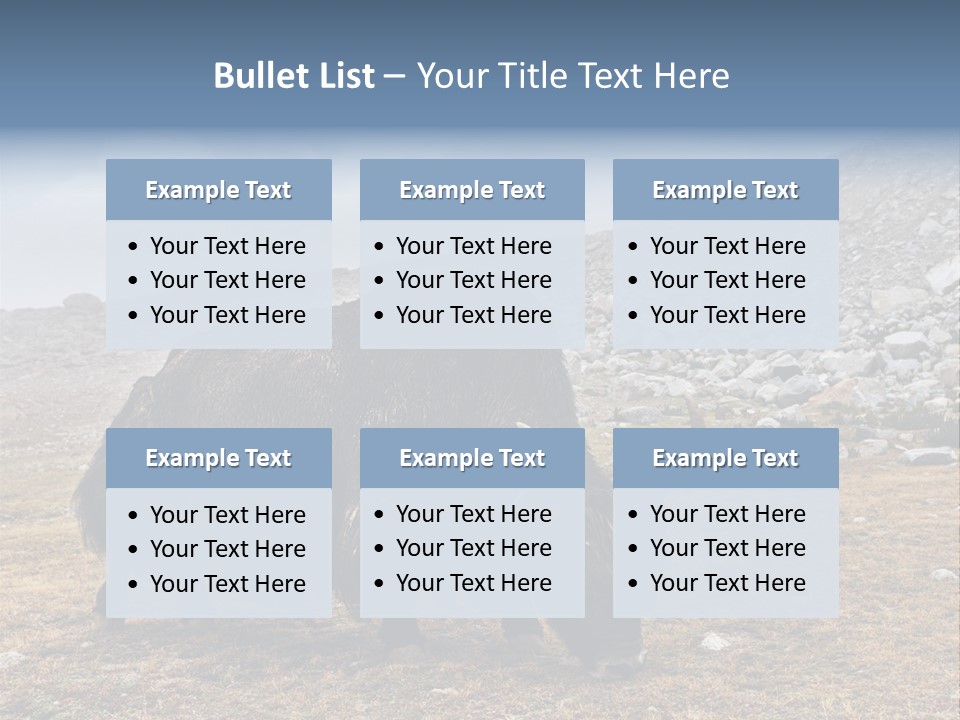 Fur Asia Rock PowerPoint Template