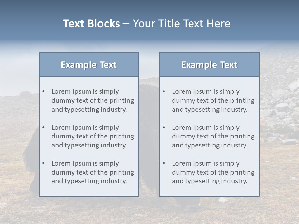 Fur Asia Rock PowerPoint Template