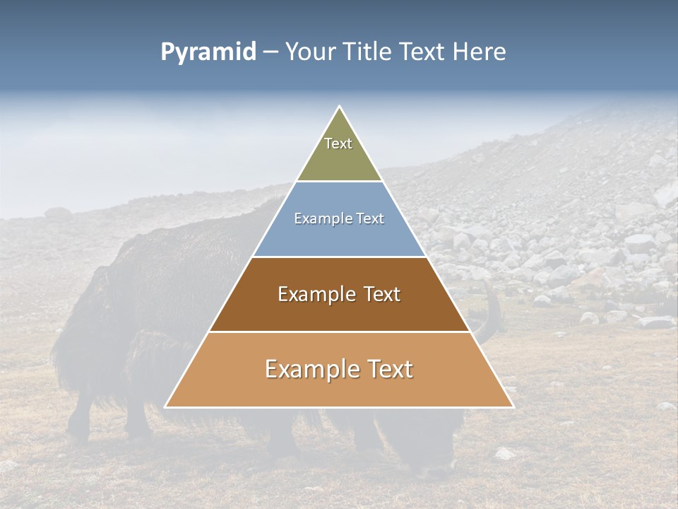 Fur Asia Rock PowerPoint Template