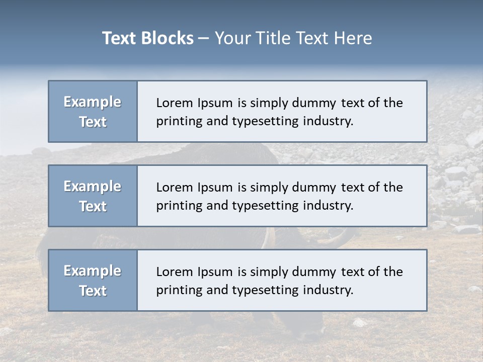 Fur Asia Rock PowerPoint Template