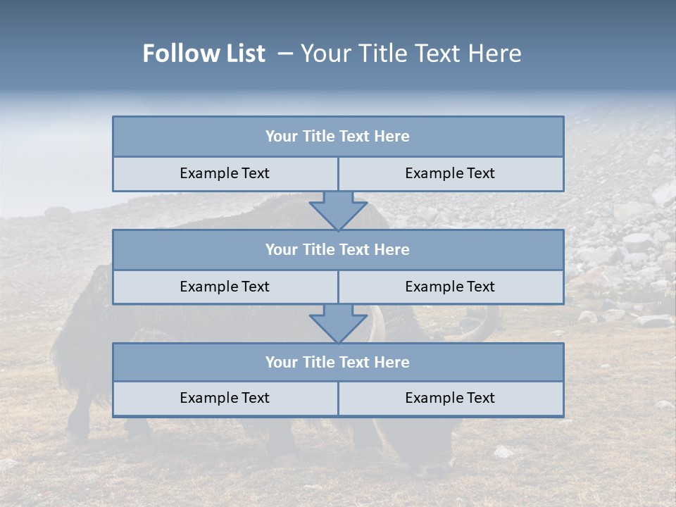 Fur Asia Rock PowerPoint Template