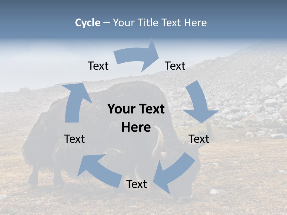 Fur Asia Rock PowerPoint Template