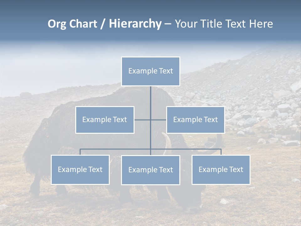 Fur Asia Rock PowerPoint Template