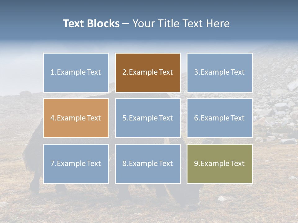 Fur Asia Rock PowerPoint Template