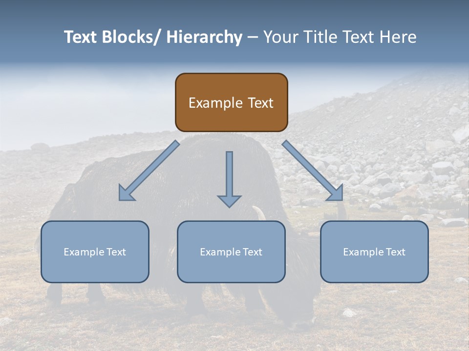Fur Asia Rock PowerPoint Template