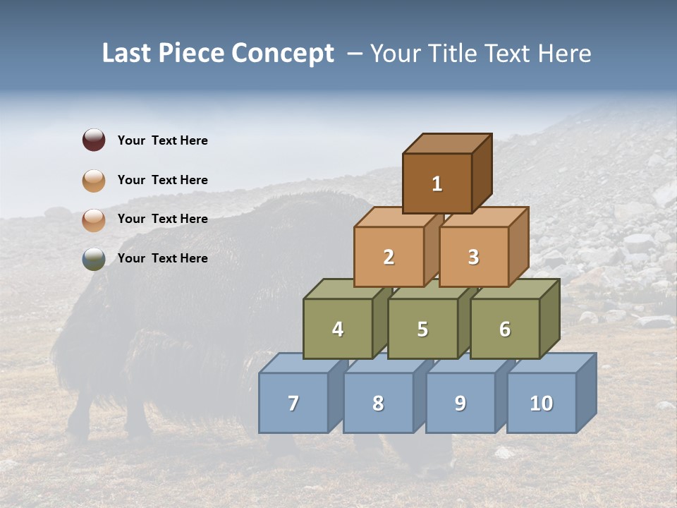 Fur Asia Rock PowerPoint Template