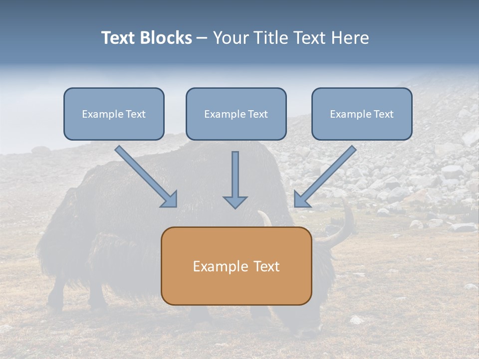 Fur Asia Rock PowerPoint Template