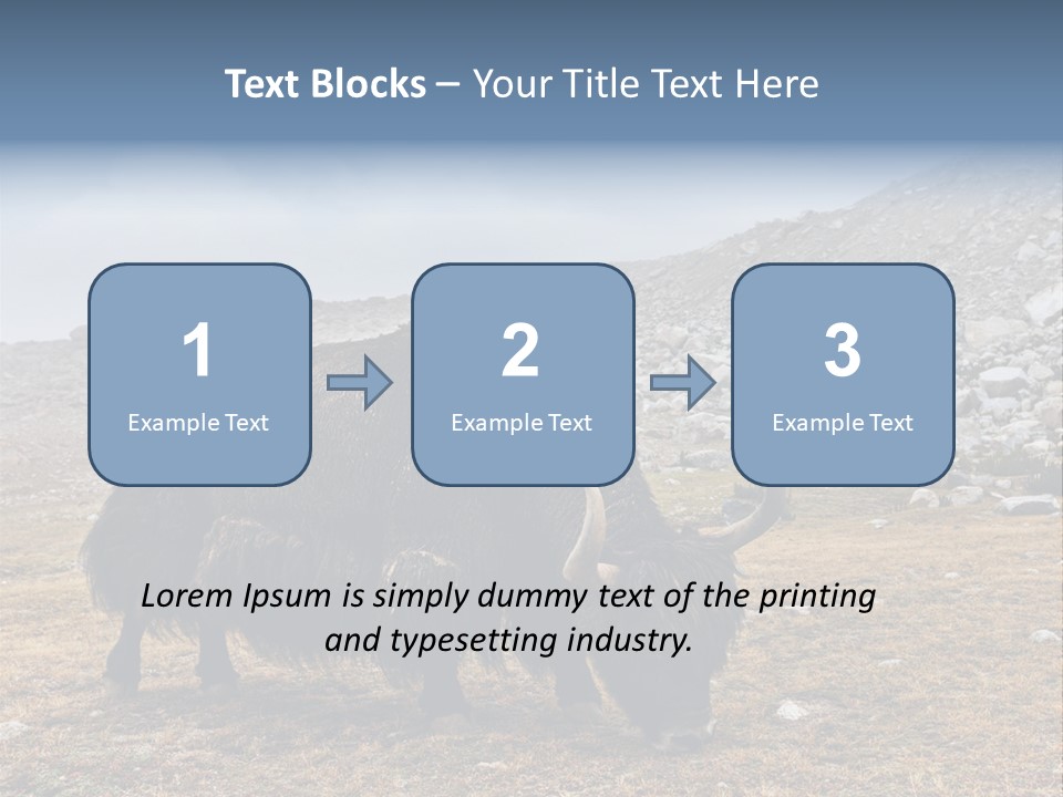 Fur Asia Rock PowerPoint Template