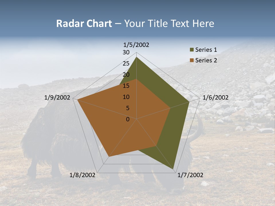Fur Asia Rock PowerPoint Template
