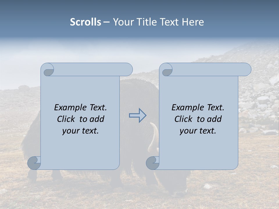 Fur Asia Rock PowerPoint Template