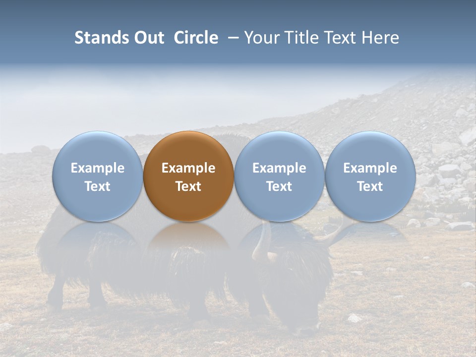 Fur Asia Rock PowerPoint Template