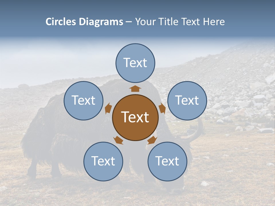 Fur Asia Rock PowerPoint Template