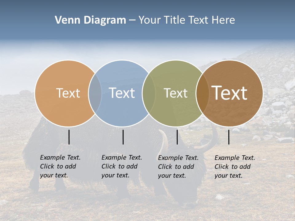 Fur Asia Rock PowerPoint Template