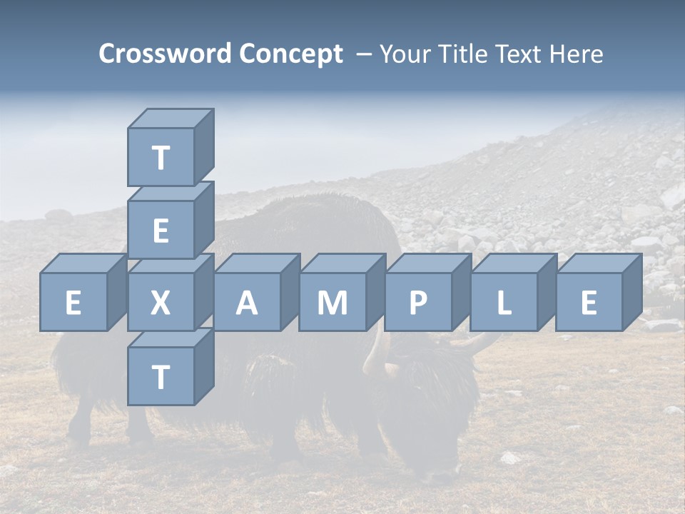 Fur Asia Rock PowerPoint Template