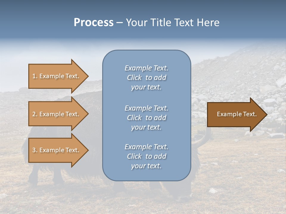 Fur Asia Rock PowerPoint Template