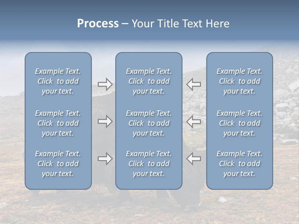 Fur Asia Rock PowerPoint Template