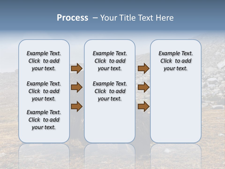 Fur Asia Rock PowerPoint Template
