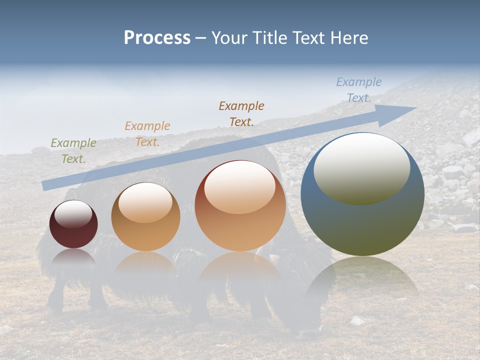 Fur Asia Rock PowerPoint Template