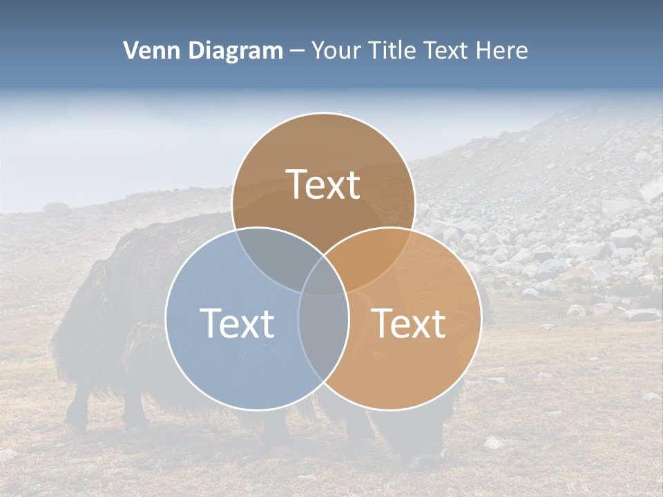 Fur Asia Rock PowerPoint Template