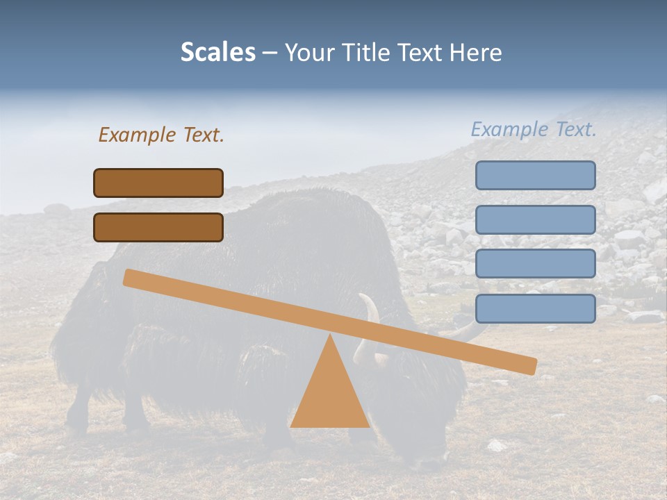 Fur Asia Rock PowerPoint Template