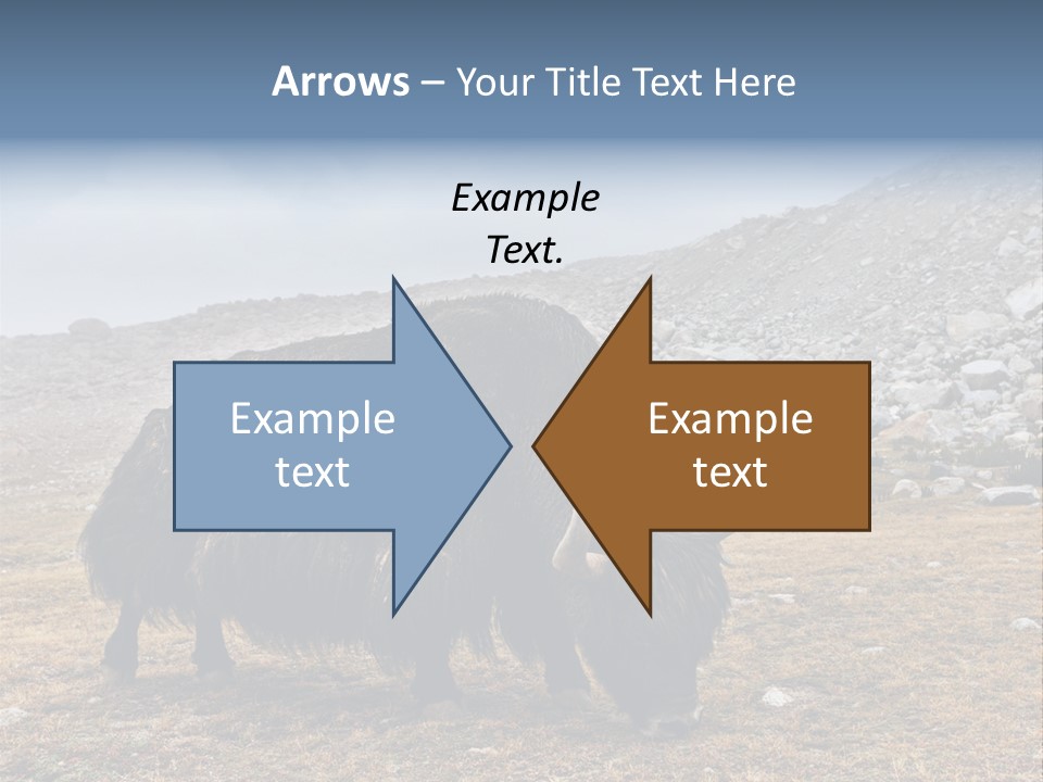 Fur Asia Rock PowerPoint Template