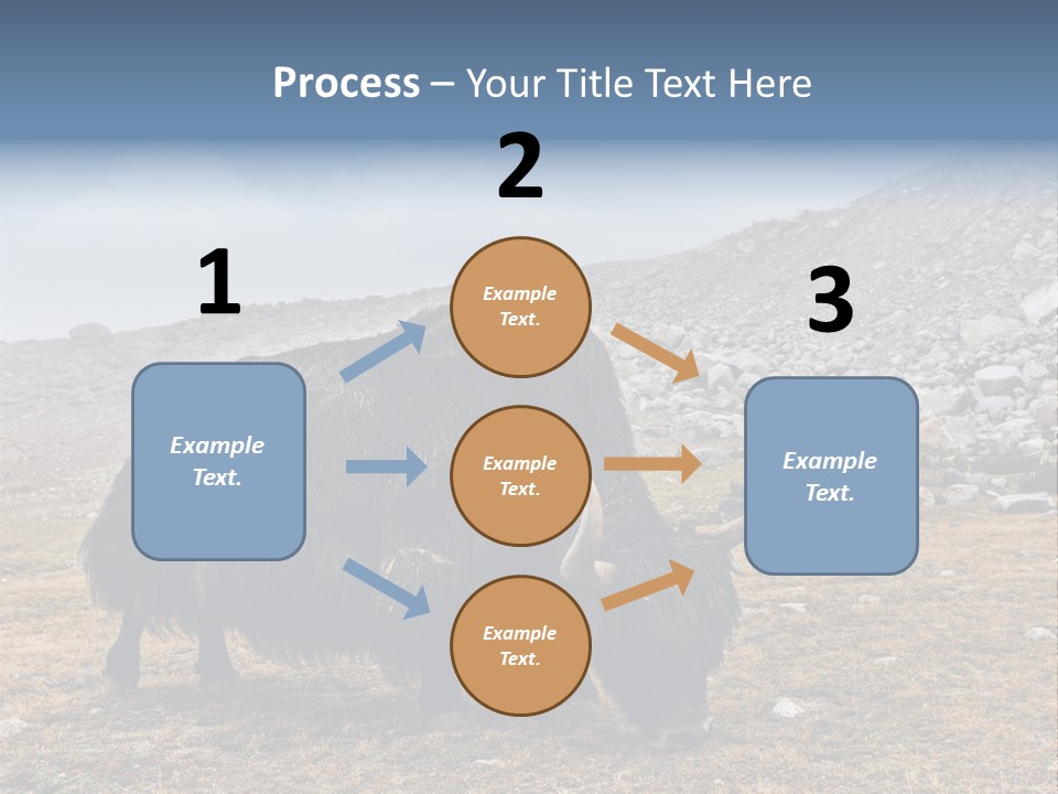 Fur Asia Rock PowerPoint Template