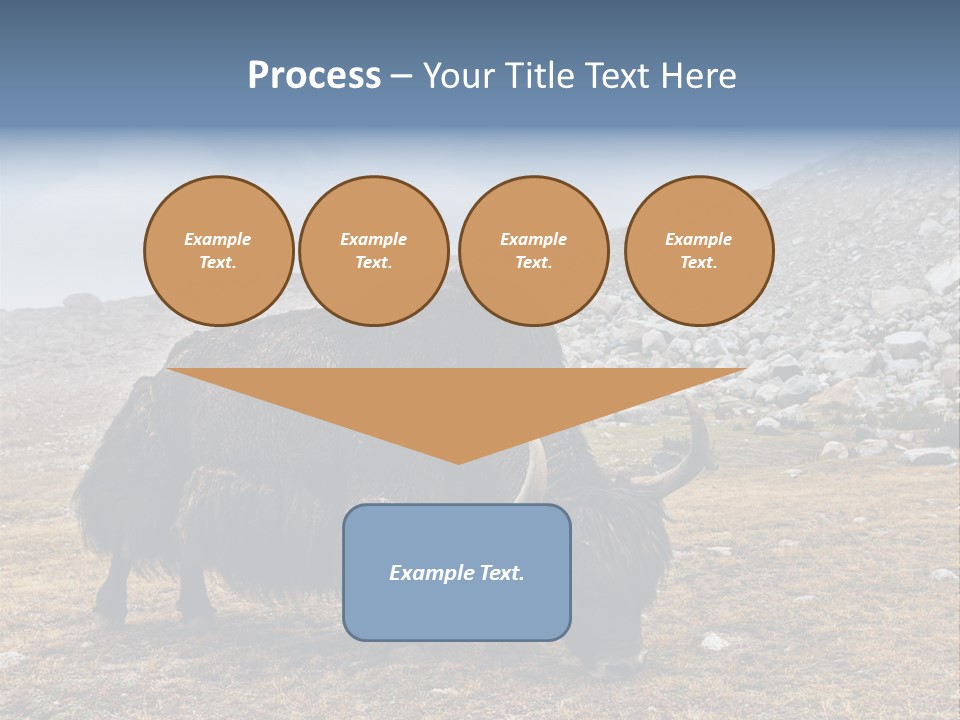 Fur Asia Rock PowerPoint Template