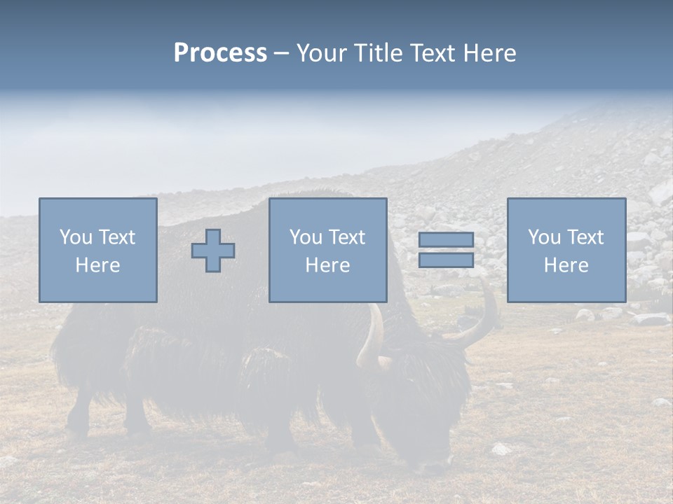 Fur Asia Rock PowerPoint Template