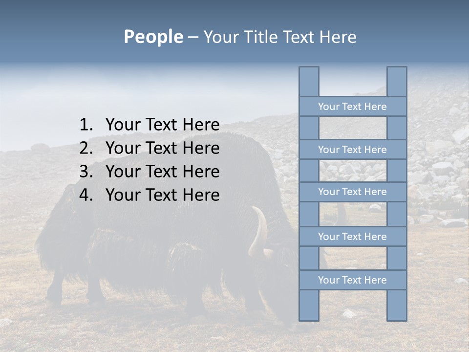 Fur Asia Rock PowerPoint Template