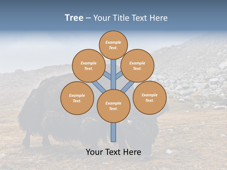 Fur Asia Rock PowerPoint Template