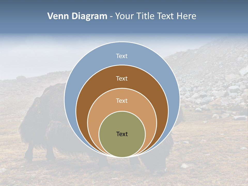 Fur Asia Rock PowerPoint Template