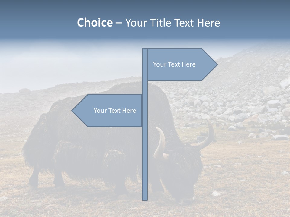 Fur Asia Rock PowerPoint Template